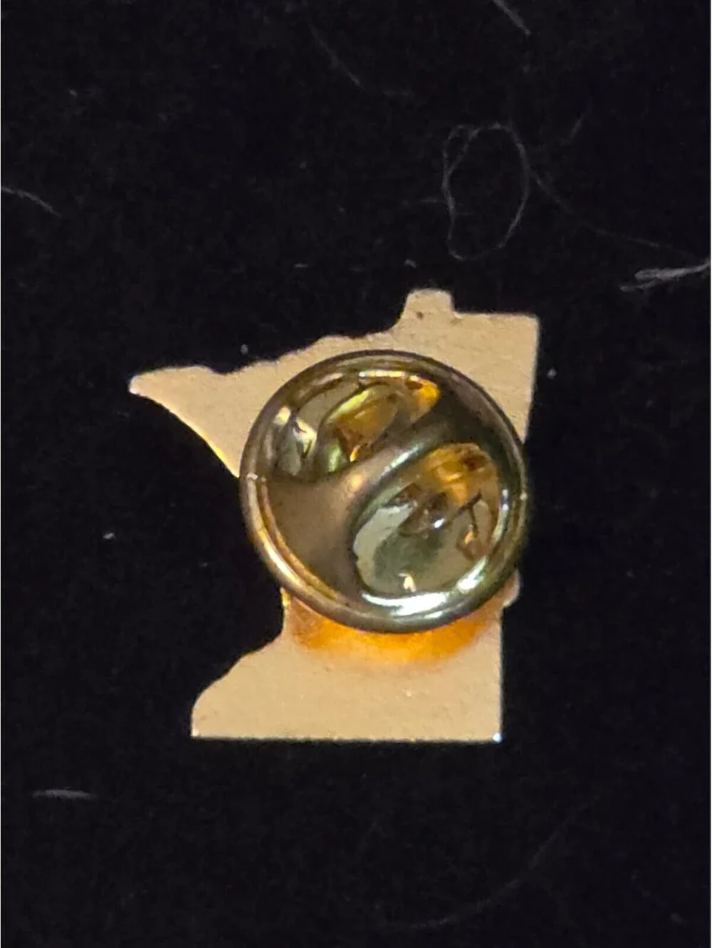 Vintage Minnesota State Shape Enamel Lapel Pin –Loon, North Star, Lady's Slipper
